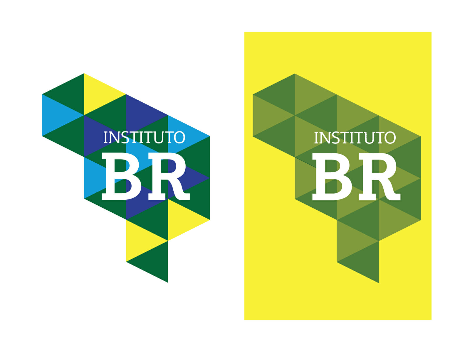 Instituto BR logo